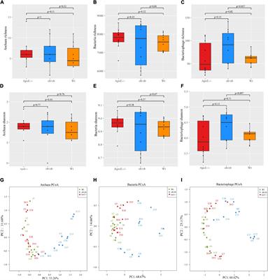 Metagenomic and metabolomic analyses show correlations between intestinal microbiome diversity and microbiome metabolites in ob/ob and ApoE−/− mice